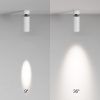 Потолочный светильник Technical C055CL-L12W4K-SS-W