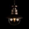 100022P Уличный подвесной светильник LOFT IT Piemonte