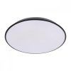 10226 Black Потолочный светильник LOFT IT Brim