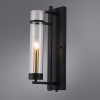 Настенный светильник Arte Lamp HUGO A1688AP-1BK