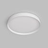 Накладной светильник Denkirs PLATO DK6511-WH