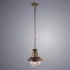 Уличный подвесной светильник Arte Lamp AMSTERDAM A1523SO-1BN