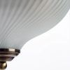 Потолочный светильник Arte Lamp AQUA A9370PL-2AB