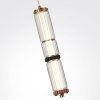 Подвес Odeon Light Collier 5455/12L