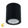 Уличный потолочный светильник Arte Lamp TORCULAR A1313PF-1BK