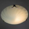 Потолочный светильник Arte Lamp MEDUSA A3520PL-1CC