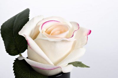 96CN-RB42 Диффузор Роза св.розовая (Rose Bud Pink), спрей Лепесток роз (Rose Petal) 5мл в упак.