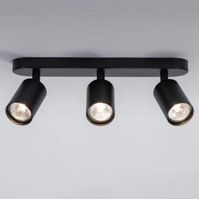 Спот Arte Lamp AQUARIUS A3226PL-3BK