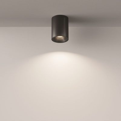 Потолочный светильник Technical C029CL-01B