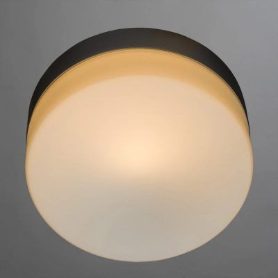 Потолочный светильник Arte Lamp AQUA-TABLET A3211PL-1SI