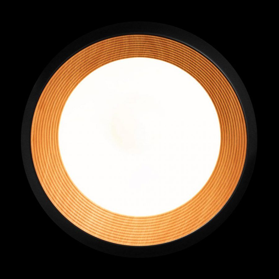 10255/500 Black Потолочный светильник LOFT IT Folk
