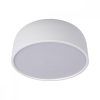 10201/350 White Потолочный светильник LOFT IT Axel