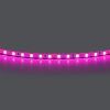 Лента цветного свечения 24V Lightstar Lightstar 420512