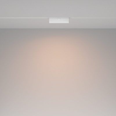 Трековый светильник Technical TR036-2-12W3K-W