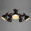 Потолочная люстра Arte Lamp MARTIN A5216PL-5BR