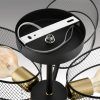 Светильник потолочный Lumion Vivana 8153/6C