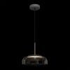 8210-P Grey Подвесной светильник LOFT IT Disk