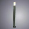 Ландшафтный светильник Arte Lamp PALETTO A8262PA-1SS