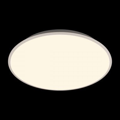 10226 White Потолочный светильник LOFT IT Brim