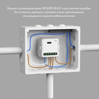 Wi-Fi реле Denkirs Relay RL1001-SM