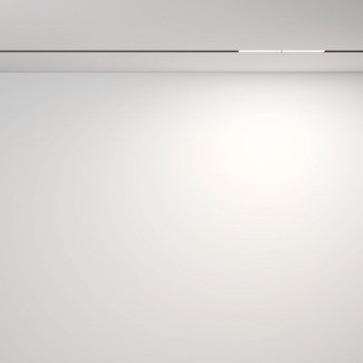 Трековый светильник Technical TR106-2-12W4K-B