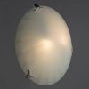 Потолочный светильник Arte Lamp MEDUSA A3520PL-2CC