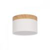 10162 White Накладной светильник LOFT IT Grape