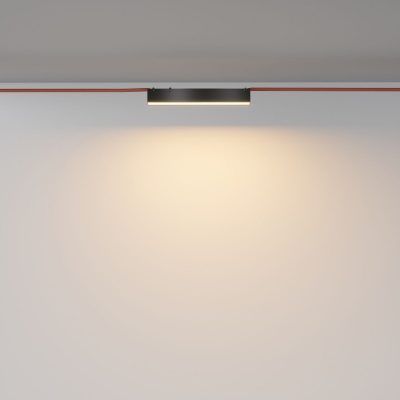 Трековый подвесной светильник Technical TR129B-12W3K-B