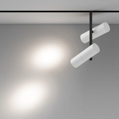 Трековый светильник Technical TR005-4-2X12W-DS-BW
