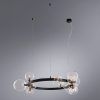 Подвесная люстра Arte Lamp VINCENT A7790SP-15BK