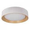 10202 White Потолочный светильник LOFT IT Coin