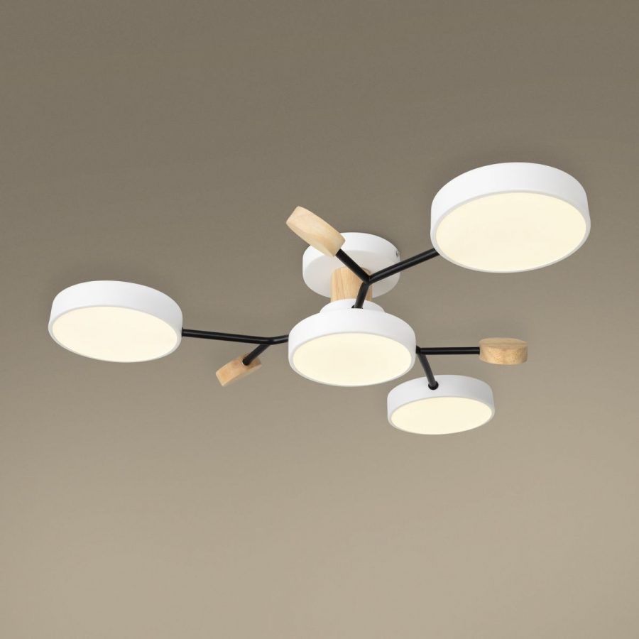 Потолочный светильник Freya FR6119CL-L48W