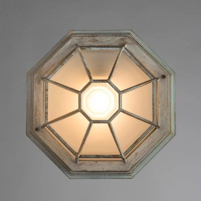 Уличный потолочный светильник Arte Lamp PEGASUS A3121PF-1WG