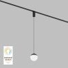 Светильник на шине Denkirs SMART MOON DK8056-BK