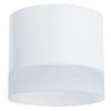 Точечный накладной светильник Arte Lamp CASTOR A5554PL-1WH