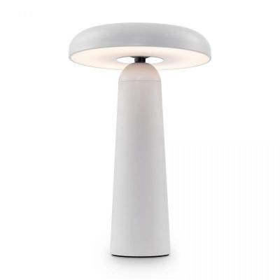 Аккумуляторный светильник Freya FR6109TL-L4W