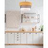 Светильник подвесной Lumion Ilaida 8038/3