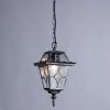 Уличный подвесной светильник Arte Lamp PARIS A1355SO-1BS