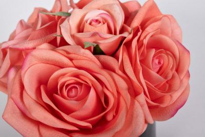 96CN-RB65 Диффузор Пять персиковых роз(Five Rose Peach), спрей Старинная Роза(Rose Oud) 10мл в упак.