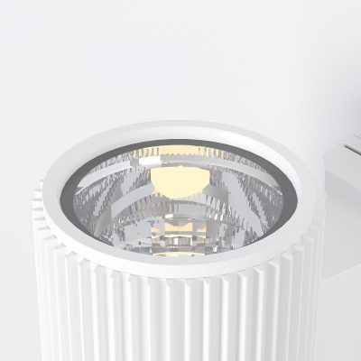 Уличный настенный светильник Outdoor O419WL-01W