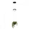 10121/B  Подвесной светильник LOFT IT Jardin