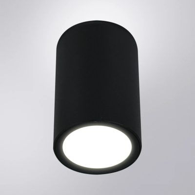 Уличный потолочный светильник Arte Lamp TORCULAR A1807PF-1BK