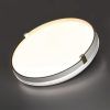 Настенно-потолочный светильник Sonex Olidi White 7646/CLN
