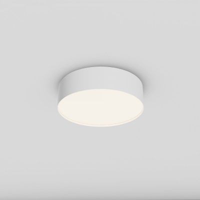 Потолочный светильник Technical C032CL-24W4K-RD-W