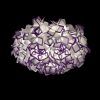 10231/780C Purple Потолочный светильник LOFT IT Clizia