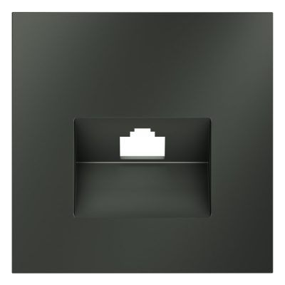 Накладка для розетки компьютерной RJ45 кат.6 и розетки телефонной RJ11 кат.3, S70 (титан)