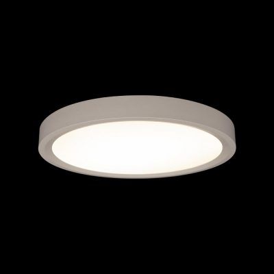 10227/24 White Потолочный светильник LOFT IT Extraslim