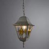 Уличный подвесной светильник Arte Lamp BERLIN A1015SO-1WG