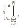Потолочный светильник Freya FR5490CL-01BS