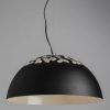 Подвесной светильник Arte Lamp PALEOLUS A3815SP-1BK